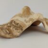 Schneckeniglu Meeresschnecke Hälfte Unterschlupf Surprise Nr. E4 – Bild 6
