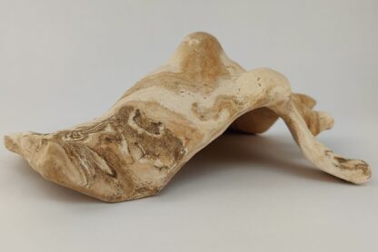 Snail Shell Sea Snail Half Shelter surprise No. E4 - Image 6