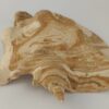 Schneckeniglu Meeresschnecke Hälfte Unterschlupf Surprise Nr. E4 – Bild 9