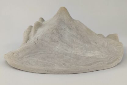 Schneckeniglu Meeresschnecke E5