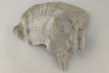 Schneckeniglu Meeresschnecke Hälfte Unterschlupf Vintage Nr. E5 – Bild 11