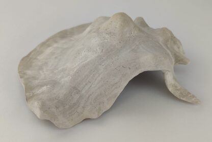 Schneckeniglu Meeresschnecke Hälfte Unterschlupf Vintage Nr. E5 – Bild 6