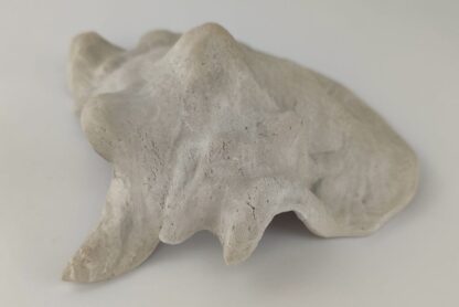 Schneckeniglu Meeresschnecke Hälfte Unterschlupf Vintage Nr. E5 – Bild 8
