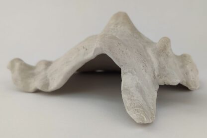 Schneckeniglu Meeresschnecke Hälfte Unterschlupf Vintage Nr. E5 – Bild 9