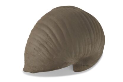 AquaKeramik Igluhöhle Schnecke Iris dunkelbraun-1