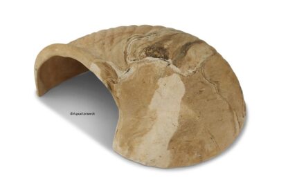 AquaKeramik Igluhöhle in Schneckenform für Axolotl surprise