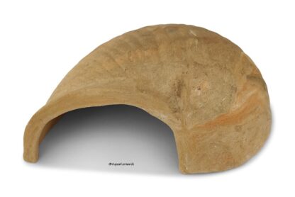 AquaKeramik Igluhöhle in Schneckenform für Axolotl surprise