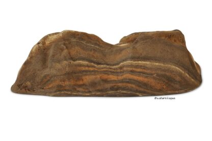 Steinhöhle ,Robin' aus Ton Eingang passend für Axolotl – Bild 17