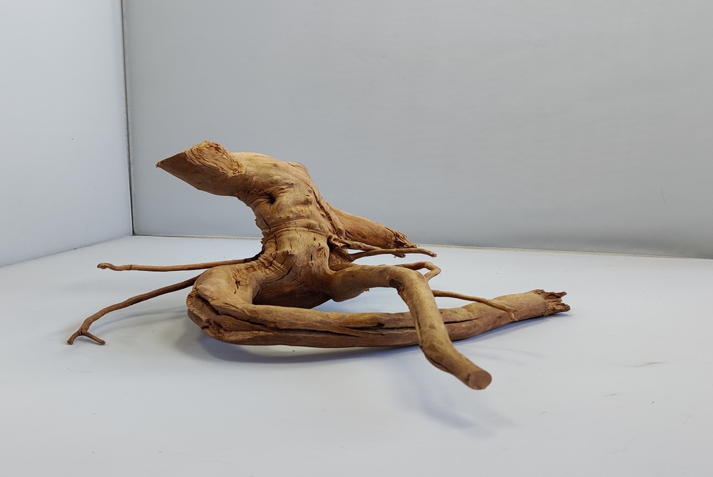 Spiderwood Aquarienwurzel