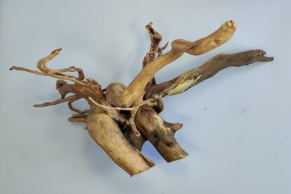 Spiderwood Aquarienwurzel