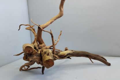 Spiderwood Aquarienwurzel