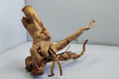 Spiderwood Wurzel für Aquarium