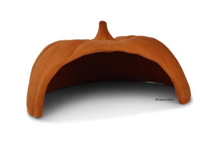 Pumpkin axolotl cave