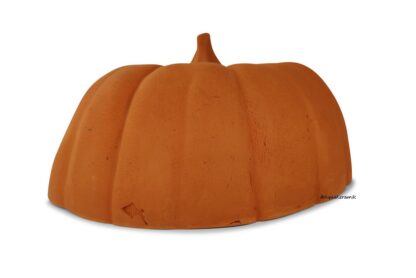 Pumpkin axolotl cave