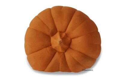 Pumpkin axolotl cave