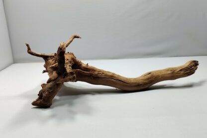 Spiderwood Root for aquarium