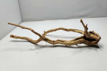 Spiderwood Root for Aquarium