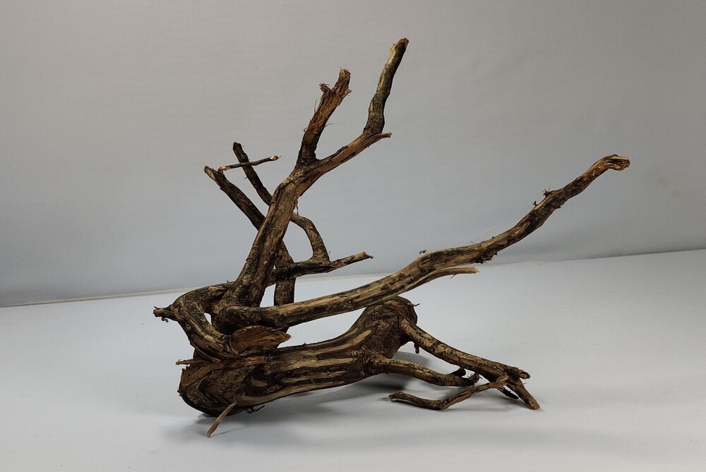 Teawood Root