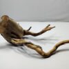 Teawood Root