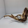 Teawood Root