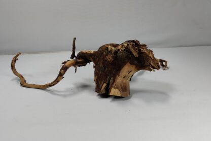 Talawa wood Teawood Aquarienwurzel TR8 ca 27x21x8 cm