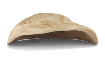 Igluhöhle Schneckengehäuse flacher Eingang Außenseite surprise