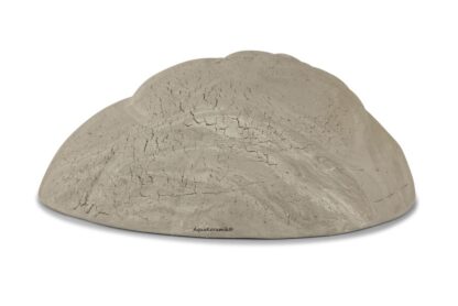Igluhöhle Schneckengehäuse flacher Eingang Außenseite vintage