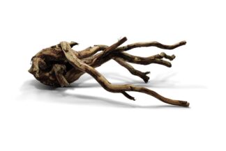 Talawa Wood Roots & branches for aquarium & terrarium
