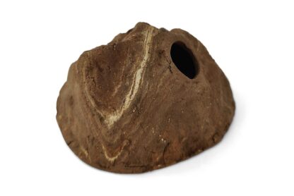 Stone cave igloo Apistogramma brown-melanged