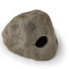 Steiniglu kleine Steinhöhle Apistogramma grau