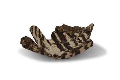Futterschale aus Ton für Aquarium Ahornblatt – Bild 7