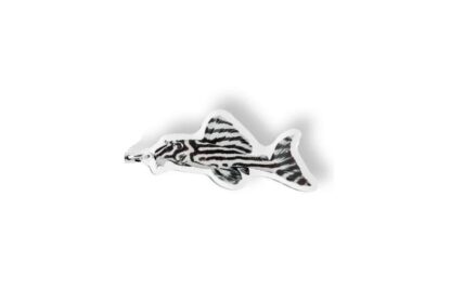 Schlüsselanhänger: Hypancistrus zebra (L 46)