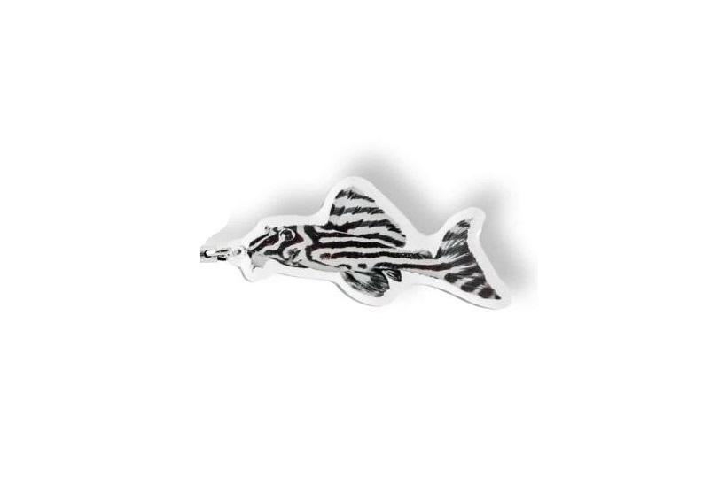 Schlüsselanhänger: Hypancistrus zebra (L 46)