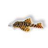 Schlüsselanhänger: Apistogramma cacatuoides