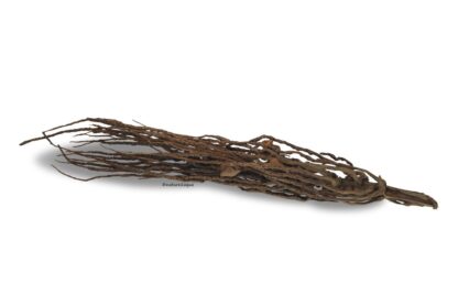 Kokosrispe