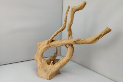 Spiderwood Wurzel für Aquarium Aquarienwurzel