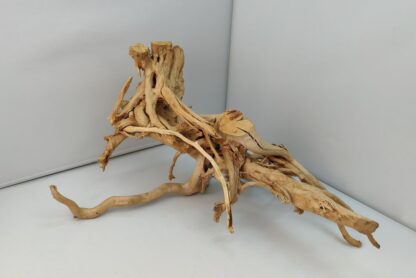 Spiderwood Wurzel für Aquarium Aquarienwurzel