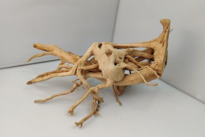 Spiderwood Wurzel für Aquarium Aquarienwurzel