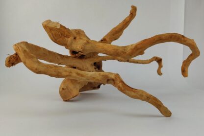 Spiderwood Wurzel für Aquarium Aquarienwurzel