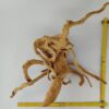 Spiderwood Wurzel für Aquarium Aquarienwurzel