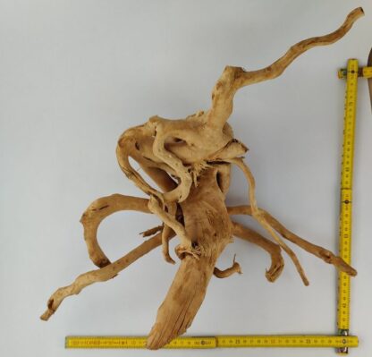 Spiderwood Wurzel für Aquarium Aquarienwurzel