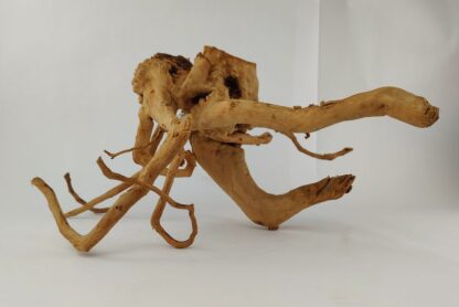 Spiderwood Wurzel für Aquarium Aquarienwurzel