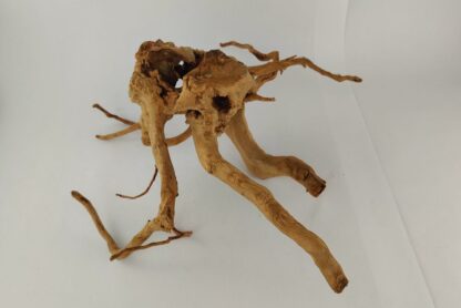 Spiderwood Wurzel für Aquarium Aquarienwurzel