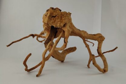 Spiderwood Wurzel für Aquarium Aquarienwurzel