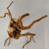 Spiderwood Wurzel für Aquarium Aquarienwurzel