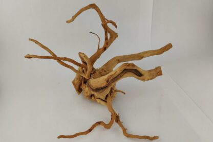 Spiderwood Wurzel für Aquarium Aquarienwurzel