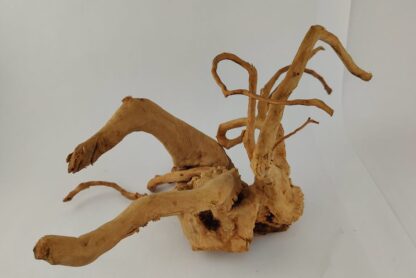 Spiderwood Wurzel für Aquarium Aquarienwurzel