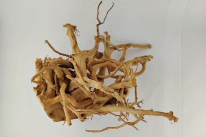 Spiderwood Wurzel für Aquarium Aquarienwurzel