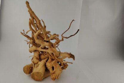 Spiderwood Wurzel für Aquarium Aquarienwurzel