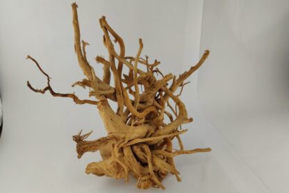 Spiderwood Wurzel für Aquarium Aquarienwurzel
